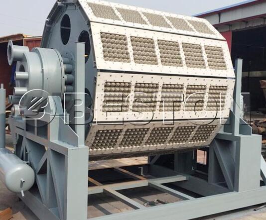 Rotary Egg Tray Making Machine